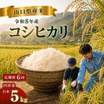 令和8年度産 コシヒカリ 5kg