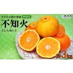 農家直送 果物 くだものフルーツ ミカン オレンジ