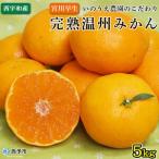 いのうえ農園直送西宇和産温州みかん 宮川早生 5kg