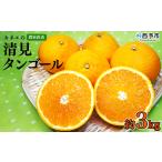 農家直送 果物 くだものフルーツ ミカン オレンジ