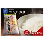 コシヒカリ 5kg