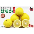 柑橘 果物 フルーツ ミカン みかん オレンジ