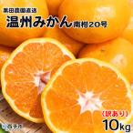 ショッピングふるさと納税 訳あり 不揃い ふるさと納税 ＜訳あり 温州みかん 約10kg 南柑20号 黒田農園直送＞ 果物 ミカン 家庭用 自宅用 サイズ不揃い 柑橘 フルーツ 食べて応援 特産品 .. 愛媛県西予市