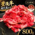 豊後牛切り落とし 800g