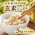 米 定期便 5kg×6回