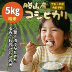 コシヒカリ 精米 5kg