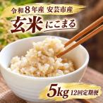 先行受付 令和8年産 にこまる玄米 30kg