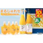 温州みかん いよかん ミカン 飲むゼリー ジュレ