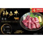 神戸牛 焼肉 もも肉 600g