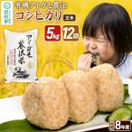 令和8年産 有機アイガモ農法コシヒカリ 5kg×1袋