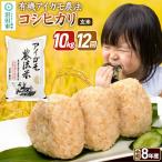 令和8年産 有機アイガモ農法コシヒカリ 10kg