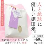 魚沼産にじのきらめき苗場プリンセス特別栽培米