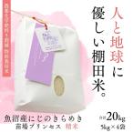 にじのきらめき 苗場プリンセス 20kg