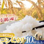令和7年産 こしひかり 10kg