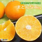 まどんな 4kg