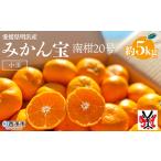 明浜産 みかん 宝 5kg