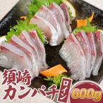 カンパチ 勘八 かんぱち カット ロイン 600g