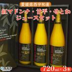 ショッピング甘平 ふるさと納税 愛媛県西宇和産　紅マドンナ、甘平、せとかジュース　３本セット 愛媛県西予市