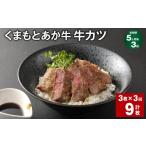 大 くまもとあか牛 牛カツ 計9枚