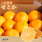 山徳農園 西宇和産せとか 5kg