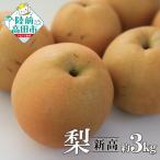 旬の味覚 梨 品種:新高 約3kg