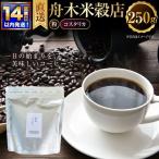粉 舟木米穀店 コスタリカ 250g