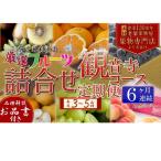 果物の詰合せ フルーツ 定期便 全6回 6ヶ月連続