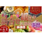 果物の詰合せ フルーツ 定期便 全12回 12ヶ月連続