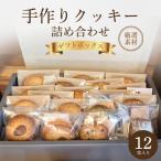 クッキー 詰め合わせ 12枚