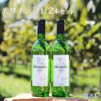光ワイン 白 2本セット UHN0002