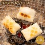 ふるさと納税 【11月中旬以降発送】☆2026年産新米☆特別栽培米のもち米約10kg　岸田農園より直送します！ 北海道上川町