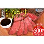 ふるさと納税 ＜熟成肉 はなが牛ローストビーフ 3袋（1袋200g）＞ 牛肉 牛 肉 ろーすとびーふ 国産 タレ付き 赤身 パーティー ディナー 丼 おつ.. 愛媛県西予市