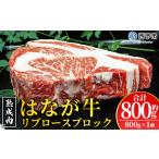 牛肉 ステーキ 鉄板焼き 焼き肉 塊肉 かたまり