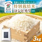 白米 特別栽培米コシヒカリ3kg