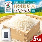 特別栽培米コシヒカリ5kg 白米