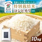 白米 特別栽培米コシヒカリ10kg