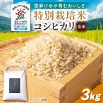 特別栽培米コシヒカリ3kg 白米