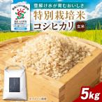 玄米 特別栽培米コシヒカリ5kg