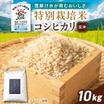 玄米 特別栽培米コシヒカリ10kg