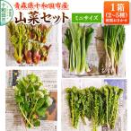 山菜セット ミニ 2~5種類 種類おまかせ 1箱