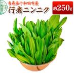 山菜 行者ニンニク 約250g