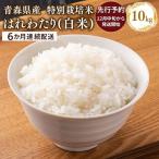 米 特別栽培米 はれわたり白米10kg 5kg×2袋