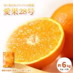 愛果28号 紅まどんな と同品種 秀品 約6kg