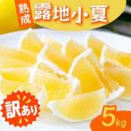 訳あり 熟成 露地小夏 5kg