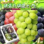 西城産ぶどう 欲張り堪能セット 4房入り 合計2kg