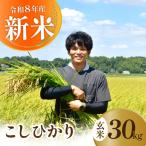 令和8年度 新米 コシヒカリ 玄米 30kg