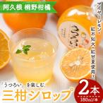 三柑シロップ 180ml×2本