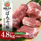 ブランド豚 ばんぶぅ ヒレブロック1本 400g以上