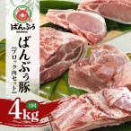 ブランド豚 ばんぶぅ ブロック肉セット 計4kg