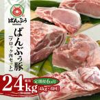 ブランド豚 ばんぶぅ ブロック肉セット 計4kg